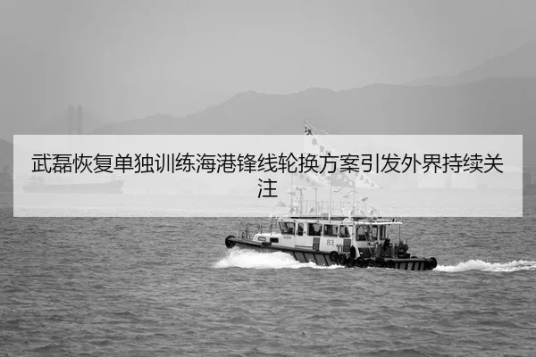 武磊恢复单独训练海港锋线轮换方案引发外界持续关注