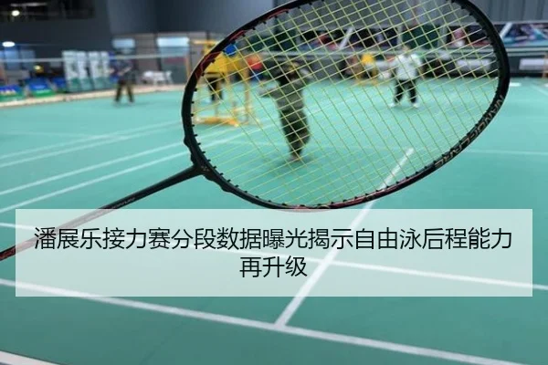 潘展乐接力赛分段数据曝光揭示自由泳后程能力再升级