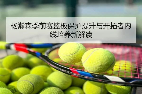 杨瀚森季前赛篮板保护提升与开拓者内线培养新解读